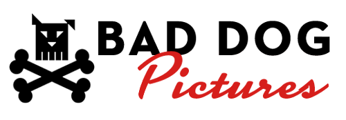 Bad Dog Pictures